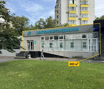 ПСН, 480 м², Витрины, Трафик, Парковка