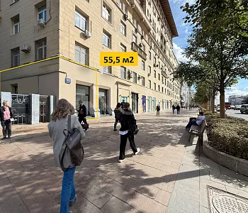 ПСН, 55,50 м², Витрины , Трафик, 50 кВт