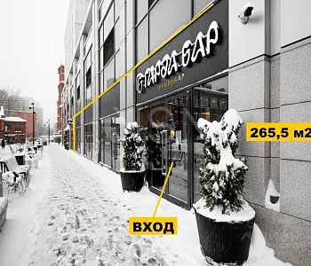 ПСН, 265,50 м², 1-ая линия , Витрины, 80 кВт