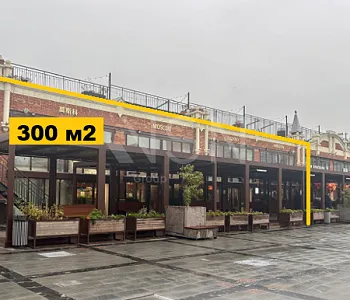 ПСН, 300,00 м², 1-й этаж , Отдельный вход, Трафик, 100 кВт