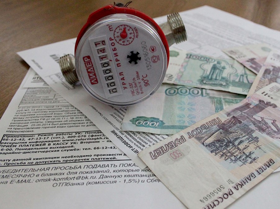 «Умные» счетчики могут появиться в большинстве домов в РФ к 2024 г