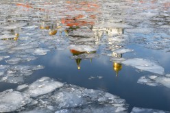 В Москве прошел сильный январский дождь