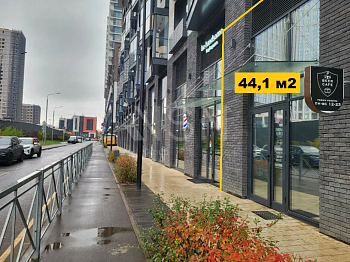ПСН, 44,10 м², 1-ая линия , Витрины, Трафик