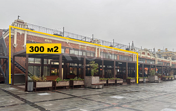 ПСН, 300,00 м², 1-й этаж , Отдельный вход, Трафик, 100 кВт